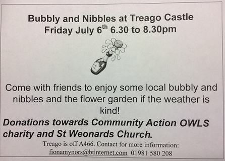 Bubbly & Nibbles at Treago Castle